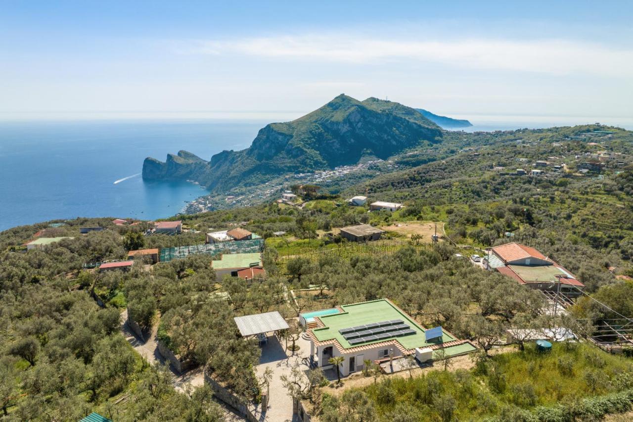 Villa Rusinella Minimalist Retreat With Sea Views Massa Lubrense Εξωτερικό φωτογραφία